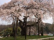 bluemoon̊Ô̓eʐ^1