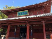 poporon����̐�������Y��a�̓��e�ʐ^1