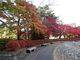 キヨさんの鬼怒川公園の投稿写真1