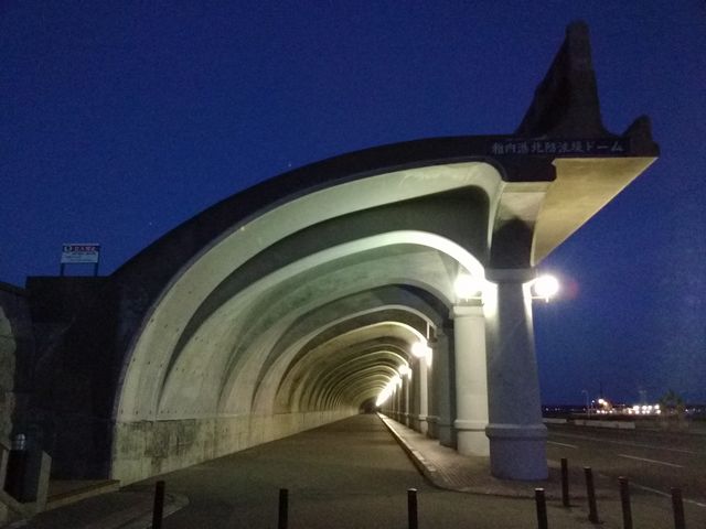 �錩��̂��ǂ��ł���_�t���`�k�h�g��h�[��