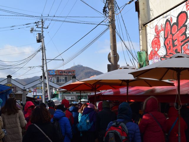 όqőOɐiނ̂ςł_ْs