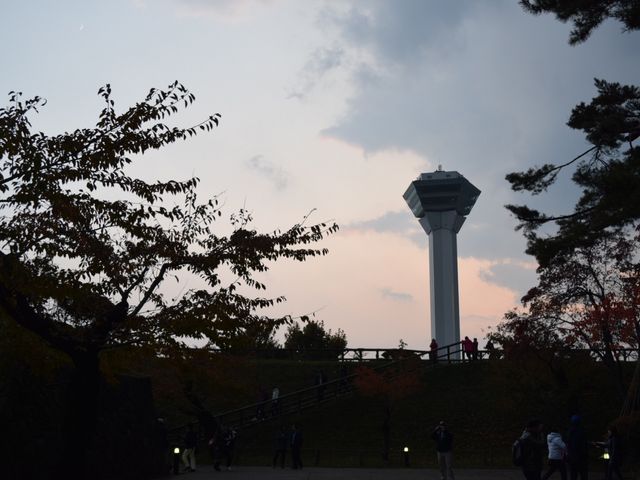 ���������ă^���[�������ցc_�ܗŊs����