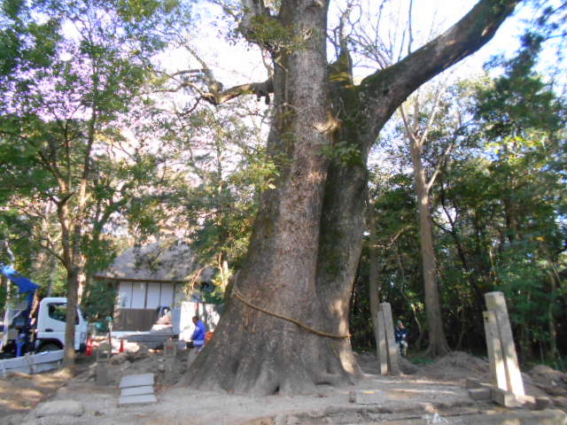 �v�w���_�ɜQ���_�{�̕v�w��