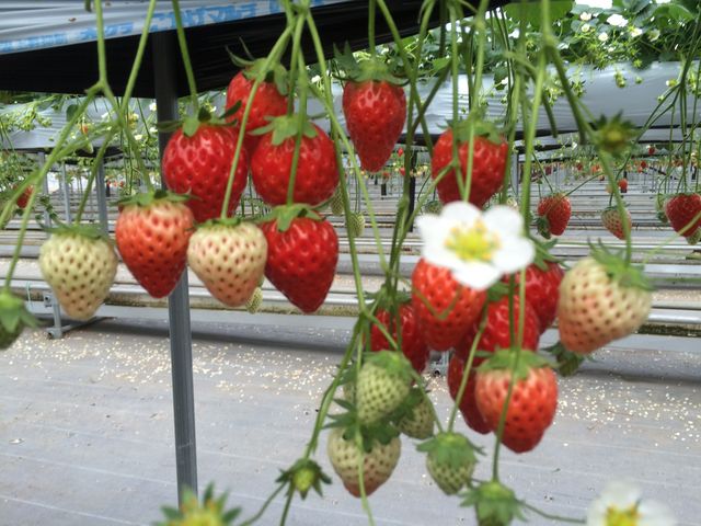 ���ꂼ�������I�ƌ��������Ȃ��Y��Ȃ�����_�ό��_���ԂЂ��