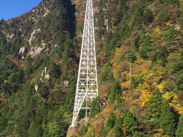 ̃[vEFC̎ʐ^łB_ݏ[vEGC