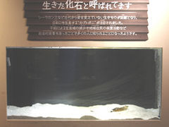 ؂܂肳̐EW ANAggӂւ̓eʐ^1