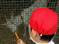 ݁[񂳂̊␣qւ̓eʐ^1