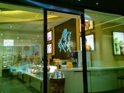 usâfnchu`E_Co[VeBvUX̓eʐ^1