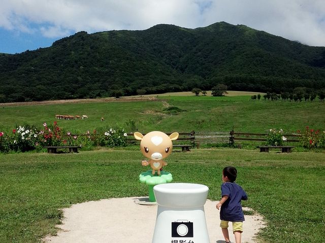 BeX|bg_fR__Ђ邺W[W[h