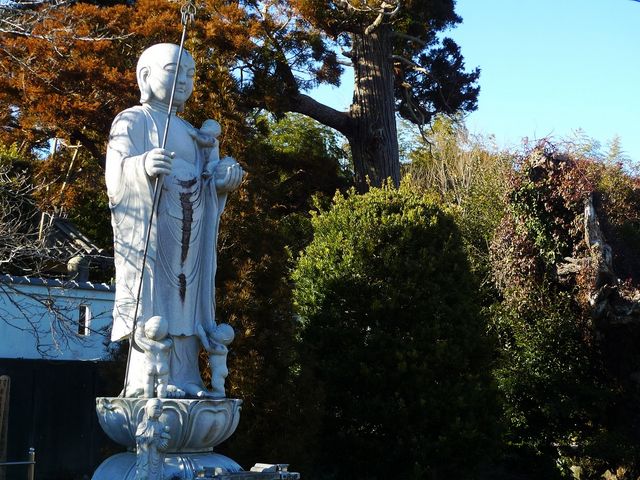 �g�N�T������̐^�����̓��e�ʐ^7