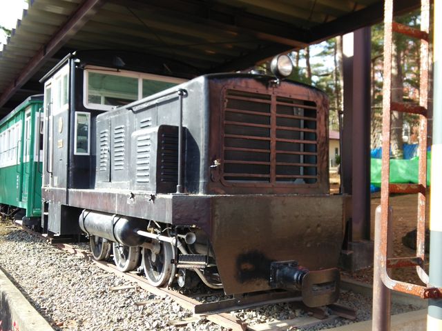 ���_�A�N�A�}�������Ȃ킵��J���Z�~������