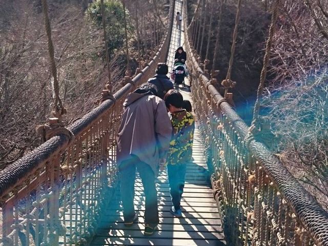 わんぱく大橋_小田原こどもの森公園わんぱくらんど