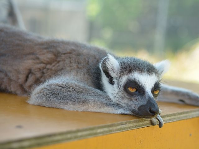 ILclU͂߁ÃT܂B_{L[Z^[