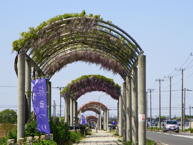 AX̋R̈فiӂA[ij̓eʐ^1