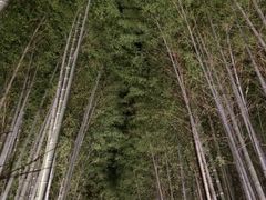 ͂Ȃ̒|т̓ւ̓eʐ^1