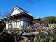 �g�N�T������̕�ώ��̓��e�ʐ^5