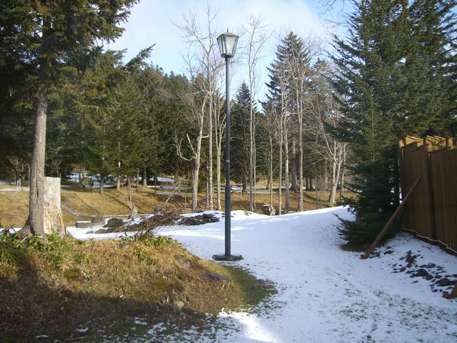 �O�̓��X���o�Ă��܂�_�ې��z����}�E���R���|�b�P�̓�