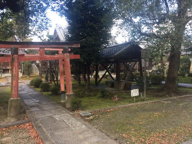 ���j�������܂�_���y���@