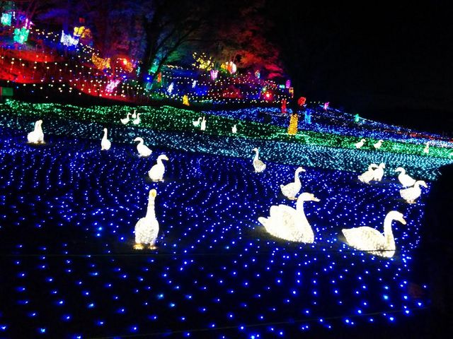 �C���~�l�[�V����_�����h�C�c��