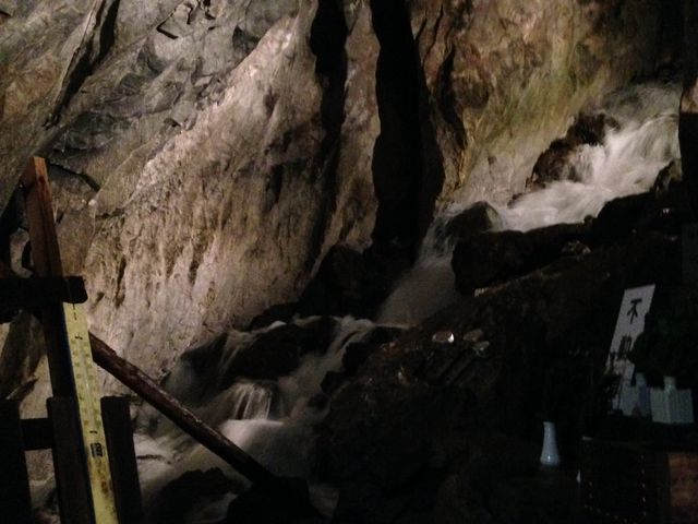 ������Œ��C�ɗ����ւ��܂��傤_�s���A�ߓ���