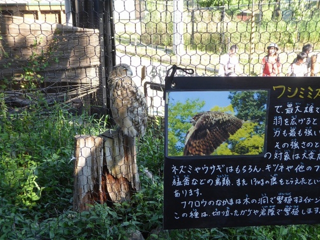 �k�C������s�E���R������ (ܼ�н޸)_���R������