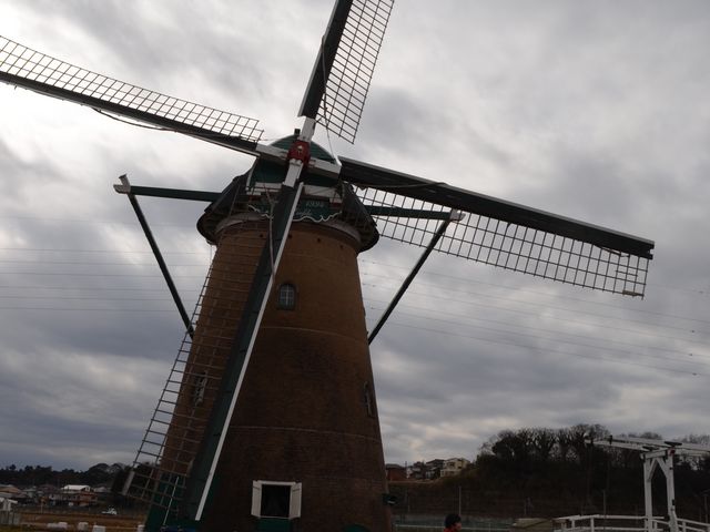 ���̓��͕��Ԃ������Ă��܂���ł���_�I�����_���ԃ��[�t�f