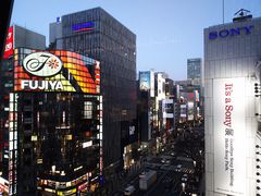 R[q[񂳂̓}vUւ̓eʐ^1