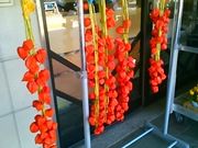 Happy̓̉w Ȃ邳̓eʐ^1