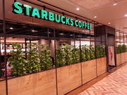 kaz9̃X^[obNXER[q[ lruX̓eʐ^1