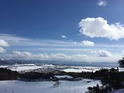 т񂿂񂳂̒cXL[̓eʐ^1