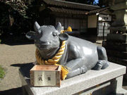 ܂邳̊w̐_l@FV{̓eʐ^2