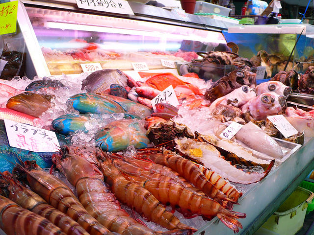 ʂN₩ȋނ
썑Ȃł͂̐FʁB_quݎs