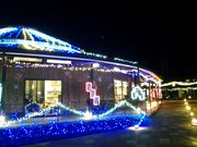 ̂ققĈނJtF̓eʐ^1