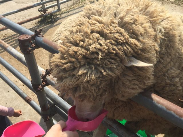 r̉a100~_OW[W[q@~NH[@