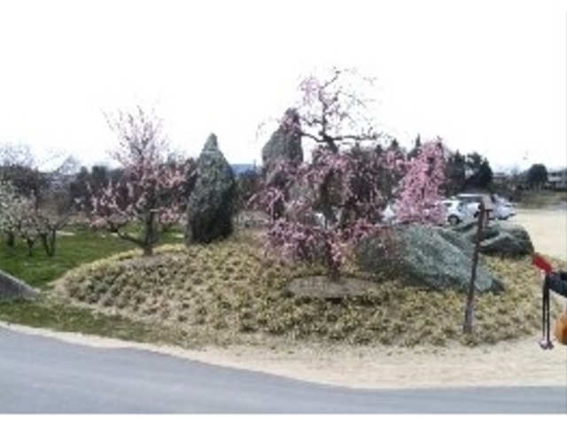 ���ԏ�ɂ���܂��B_��Β뉀