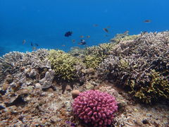 ҂҂̃}[v_Ngւ̓eʐ^1