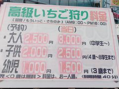 Mandystrawberry farm ܂ƍH[ւ̓eʐ^1