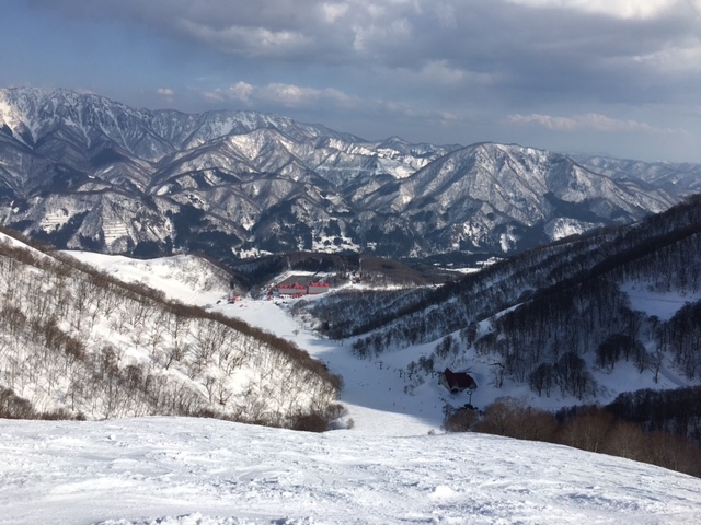 ������_���n�R���`�i�X�L�[��