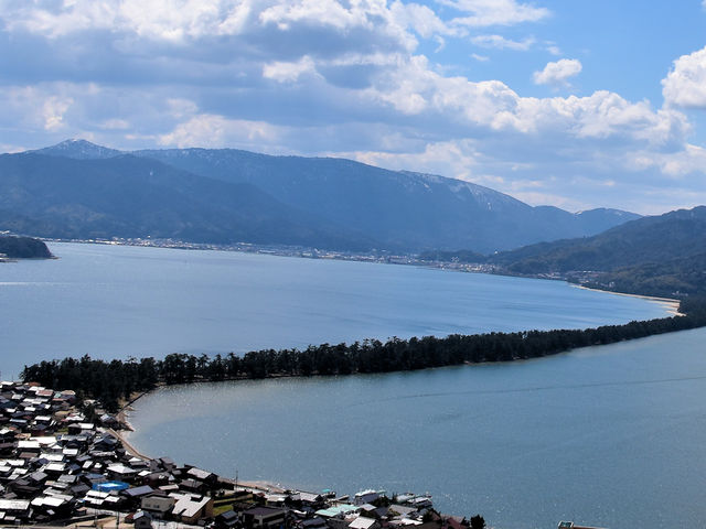 �V����_�V����