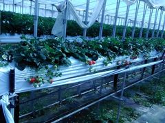 qq̈t@[i--jւ̓eʐ^1