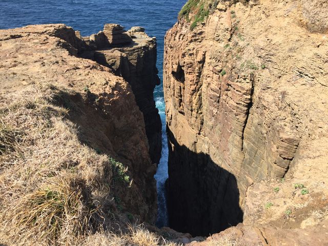 �ւ̒J_�C�m��