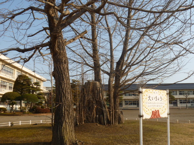 gV[̌ÐꏬwZ̋ǂ̓eʐ^1