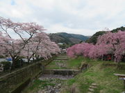 hakoneatami̋{쑁@؂̓eʐ^1