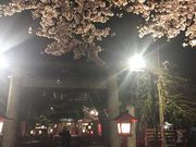 �Ȃ����񂳂�̍��_�Ђ̓��e�ʐ^1