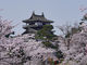 hirotyanさんの丸岡城の投稿写真3