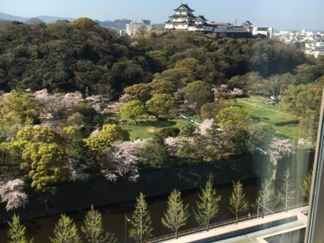 _CClbg13K@_a̎R̍܂