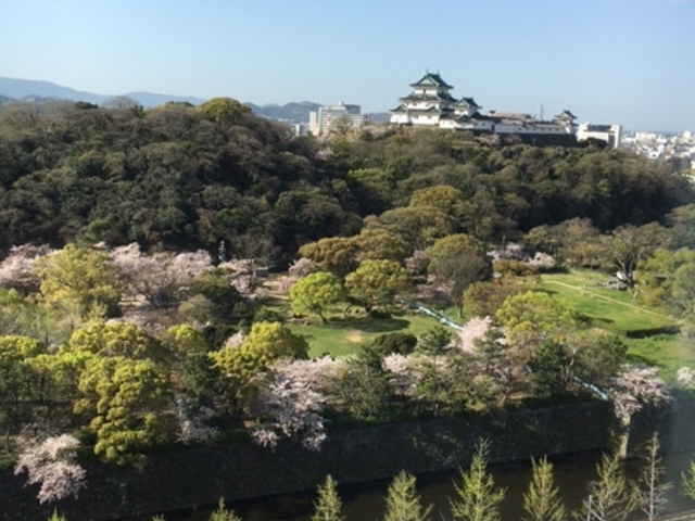 _CClbg13K@_a̎R̍܂