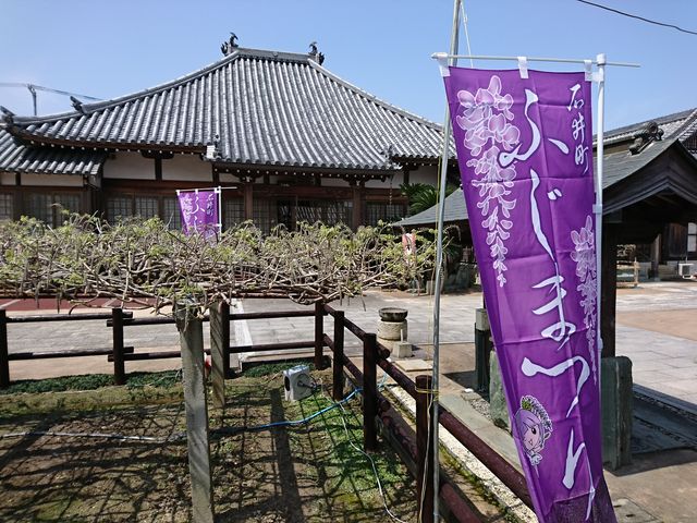 ̒I͉̓ԉ肪oĂƂłB_n