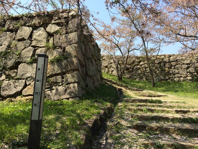 �����Y��ł��B_�Ďq���