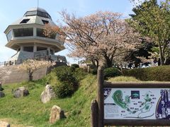 K`R̃nCyLقւ̓eʐ^1